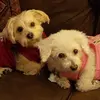 lenoraosborne582 - @lenoraosborne582 - TikTok