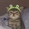 Lenora F - @leopeppero - TikTok