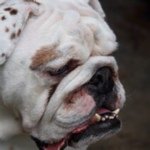 Lenora Perkins - @dstymax - Instagram