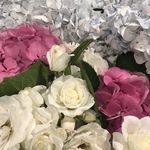 Lenora Rose - @lenora_rose77 - Instagram