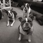 Lenora, Rosemary & Stanley - @lenora_rosemary_and_stanley - Instagram