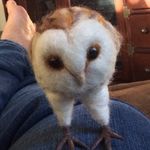 Lenore Simmons - @simmonsabq - Instagram