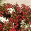 lenorasmith65 - @lenorasmith65 - TikTok