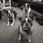 Lenora, Rosemary & Stanley - @lenora_rosemary_and_stanley - Instagram