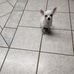 Lenora Tyson - Facebook