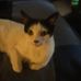 Lenora Watson - Facebook