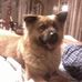 Lenora Watson - Facebook