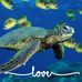 Lenora L Ball - Facebook