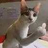 Lenora Becker - @lenora.becker2 - TikTok