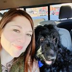 Jessica Rooker - @veda_lenore_black_goldendoodle - Instagram