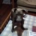 Lenora Bradley - Facebook