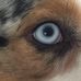 Donovan Lecure - Facebook