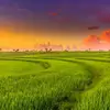 Freeman Lenore - @freeman.lenore - TikTok