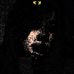 Lenore Freeman - Facebook
