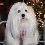 Lenore Factor Jackson - @birdiegirl720 - Instagram