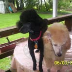 Lenore Jackson - Facebook