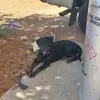 Lenora lang - @lenora.lang - TikTok