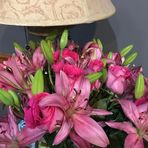 Lenore Leach - Facebook