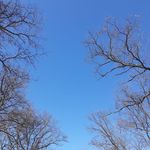 Lenore Lee - @lenore.lee.1485 - Instagram