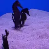 Lenorelee Merrell - @lenorelee.merrell - TikTok