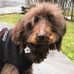 Stella Lenore Levy - Facebook