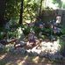 Lenore Sammarco McCarthy - Facebook