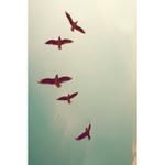 Lenore Morris - @liployon - Instagram