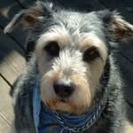Lenore Smith Morris - @lenoresmithmorris - Instagram