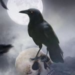 Lenore Poe - @lenore.corvus - Instagram