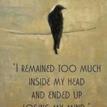 Lenore Poe - @talesfromthebookshop - Instagram