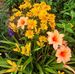 Lenore Ramsey - Facebook