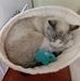 Lenore Robinson Davis - Facebook