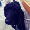Lenora Ryan - @lenoraryan - TikTok