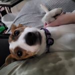 Lenora Shaw - @light_white_s - Instagram