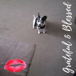 Lenora Shaw - @lenora.shaw.378 - Instagram
