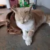 Lenore Ward - @lenore.ward5 - TikTok