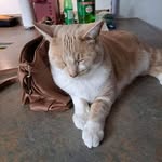 Lenore Ward - @leno.reward59 - Instagram