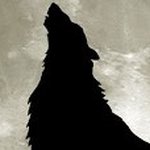 @lenore_wolf_shadow - Instagram
