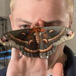Leo Addison - @sp.arrowhawk - Instagram