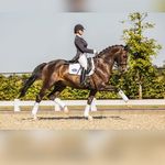Leontien Raijmakers-Dings - @leontienraijmakers - Instagram