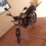 Leo Aleman - @leo_aleman1234 - Instagram