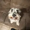 LJ - @leoaleman279 - TikTok