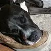 leoalonzo883 - @leoalonzo883 - TikTok