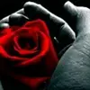 AngusLeo_RDHm - @angusleo_rdhm - TikTok