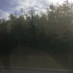Leo Angus - @leoangus_666 - Instagram