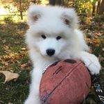 leo asher - @leo_asher19 - Instagram