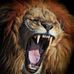 Leo August - Facebook