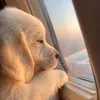 Leo - @leo_august08 - TikTok