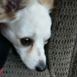 Leo Babineau - @babineauleo - Instagram