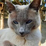 Leo Baird - @leobaird14 - Instagram